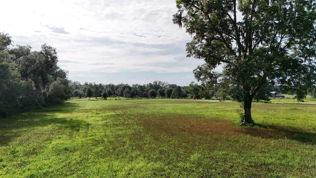 Vacant 145th Road Live Oak, FL 32060 - Photo 25 of 42