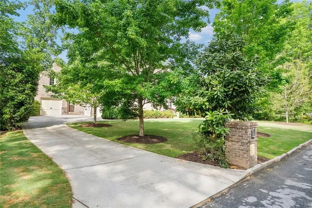 a view of a yard with plants and trees