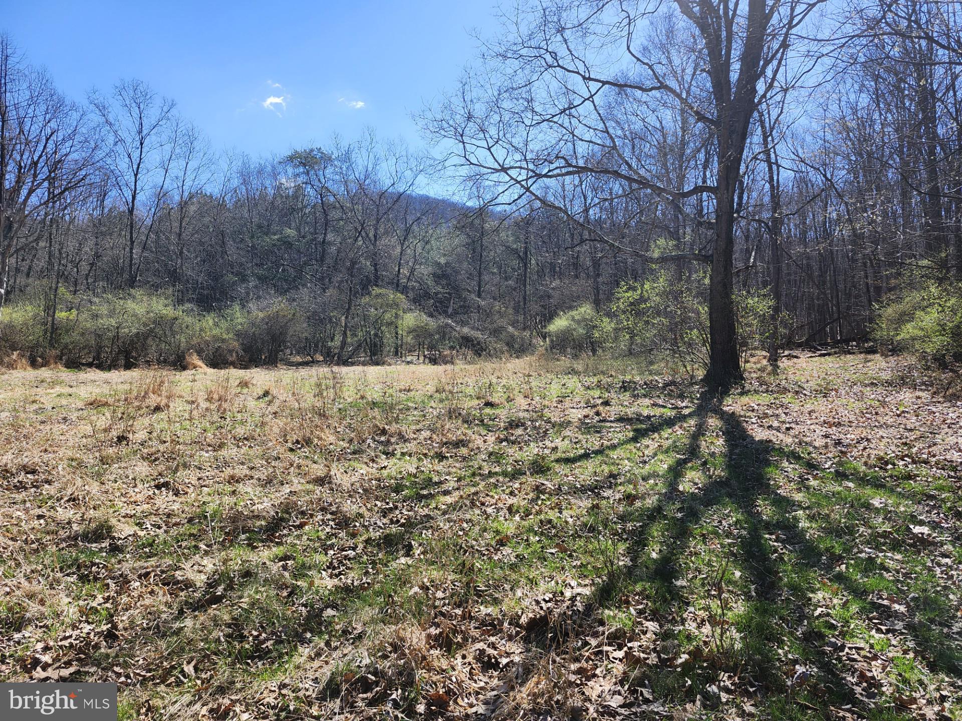 A J Kelley Road Old Fields, WV 26845 - Photo 24 of 65