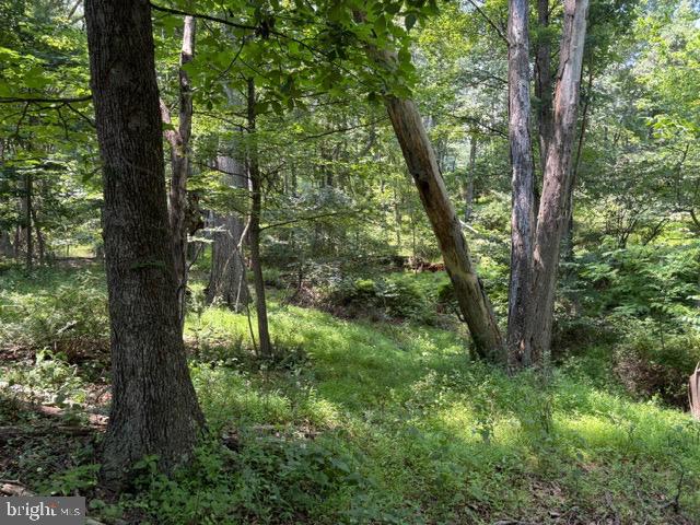 Lot 24-a Ac Fox Run Baker, WV 26801 - Photo 28 of 34