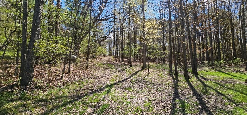 367 Ellison Road Barton, NY 14859 - Photo 43 of 48 Lots of trails so you can explore your 40 acres