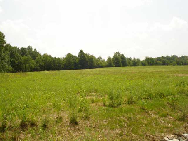 122 Williamson Road Southwest, Unit LOT #82 Pataskala, OH 43062 - Photo 2 of 3