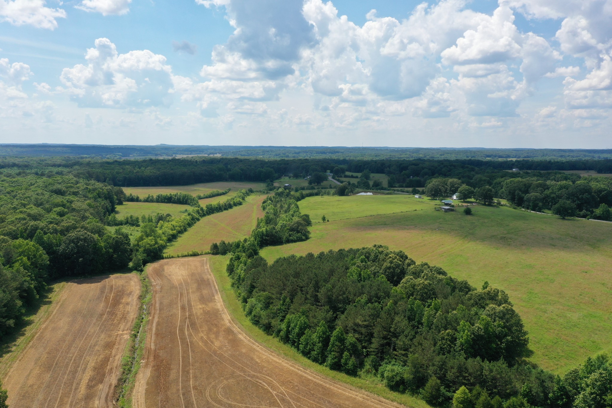 1705 McBride Cemetery Road Sardis, TN 38371 - Photo 1 of 44
