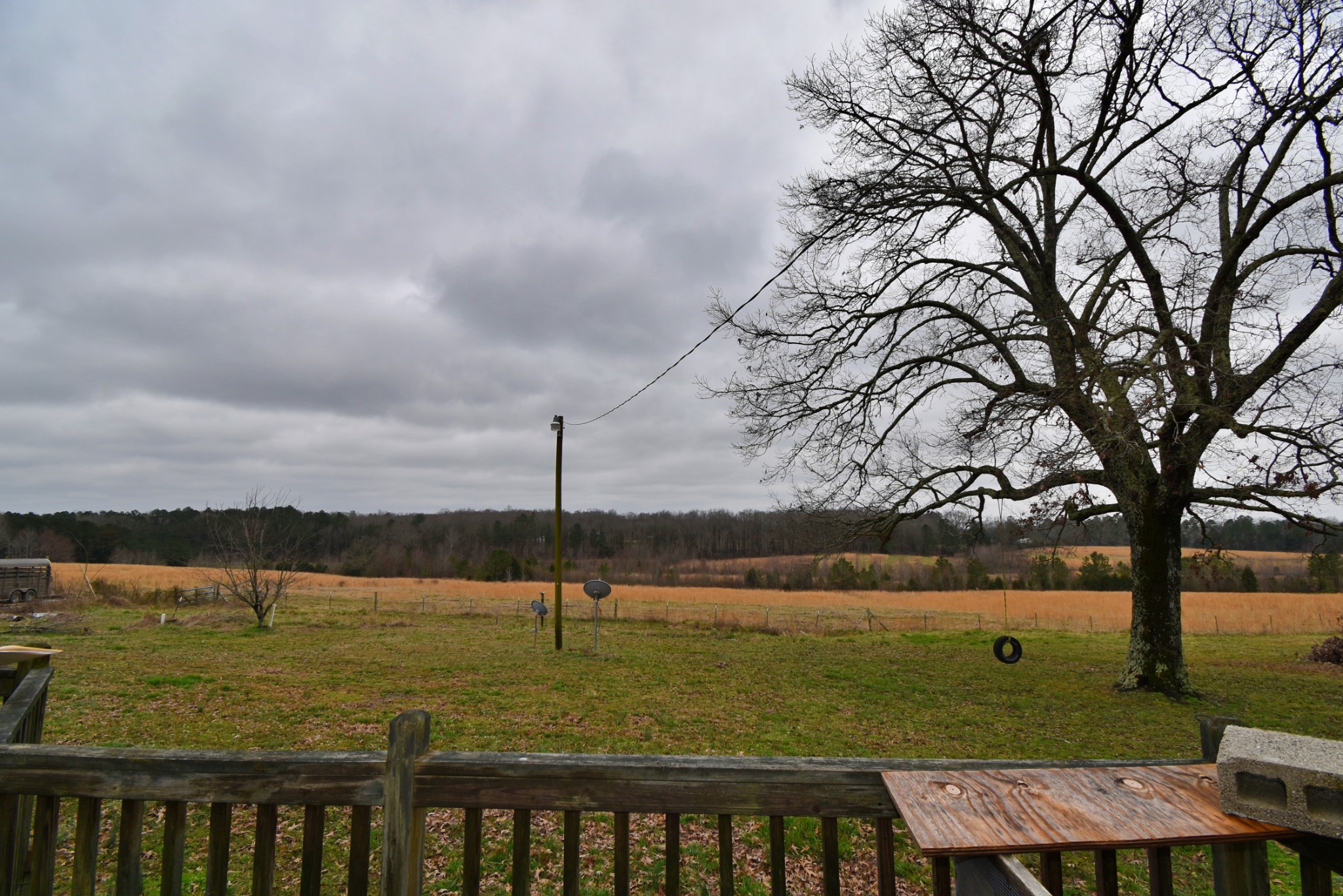 1705 McBride Cemetery Road Sardis, TN 38371 - Photo 13 of 44