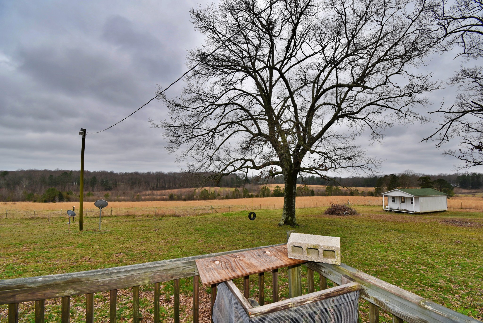 1705 McBride Cemetery Road Sardis, TN 38371 - Photo 14 of 44