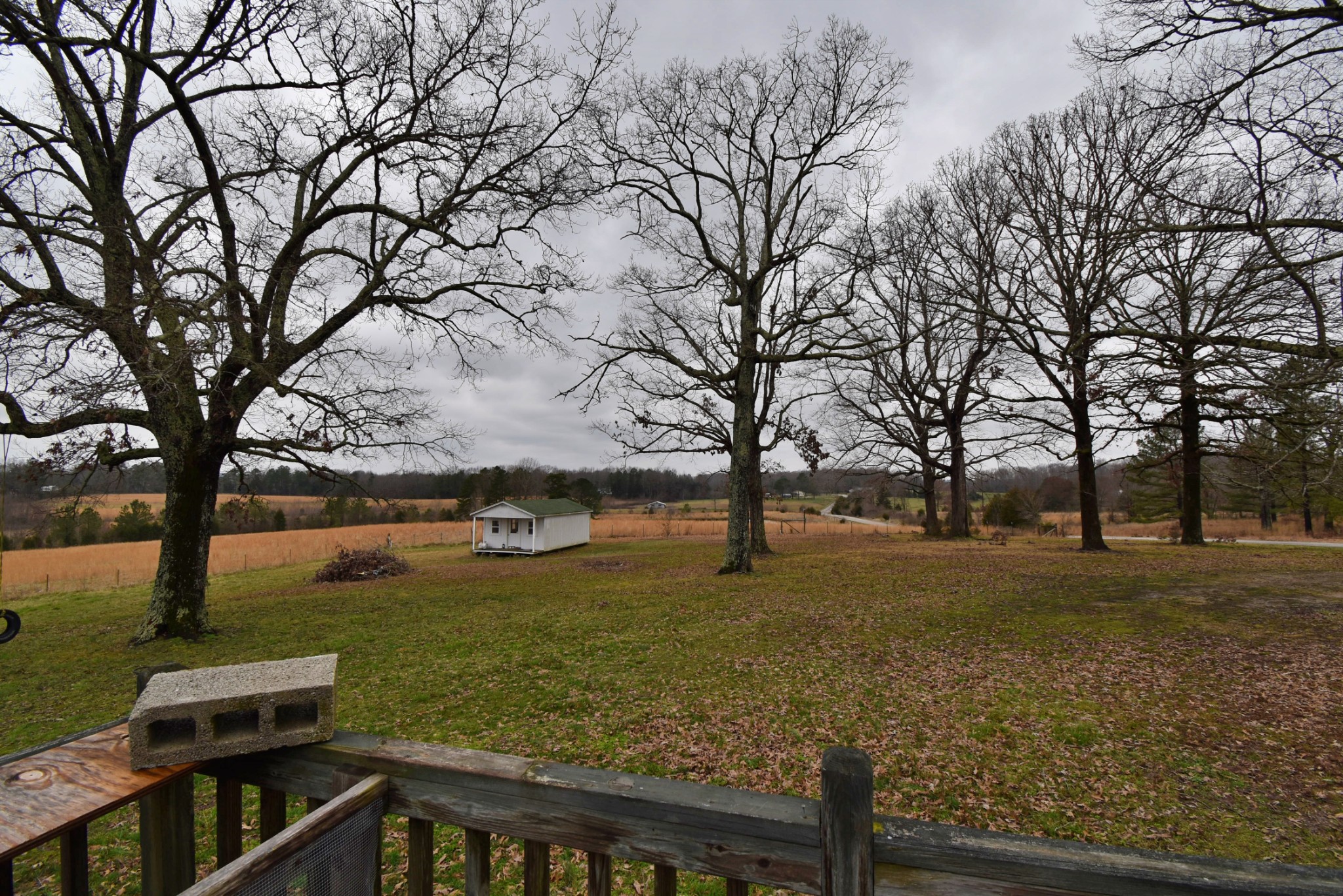 1705 McBride Cemetery Road Sardis, TN 38371 - Photo 15 of 44
