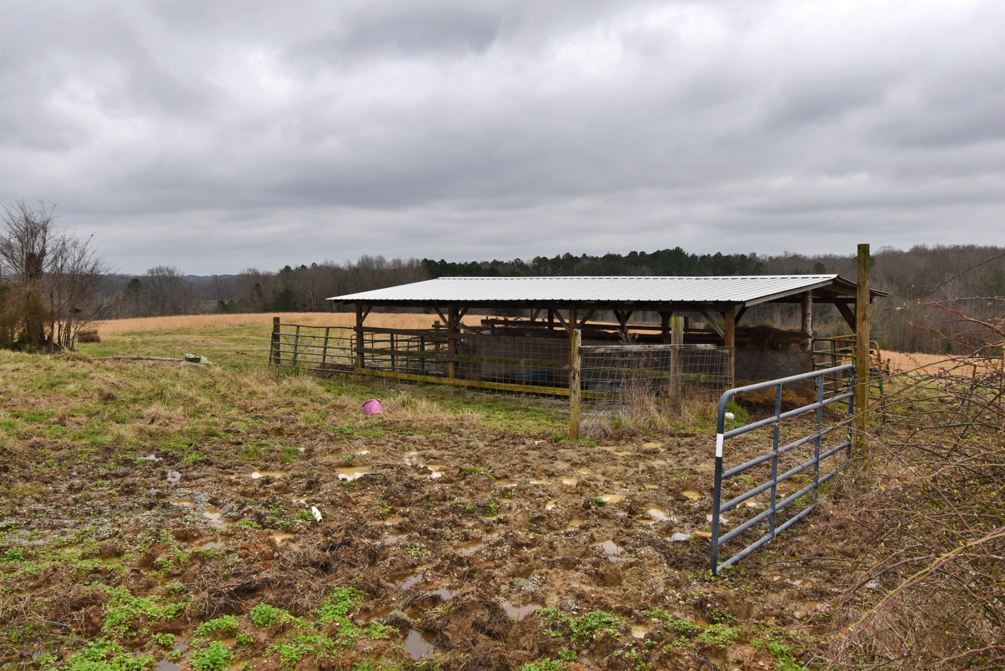 1705 McBride Cemetery Road Sardis, TN 38371 - Photo 17 of 44