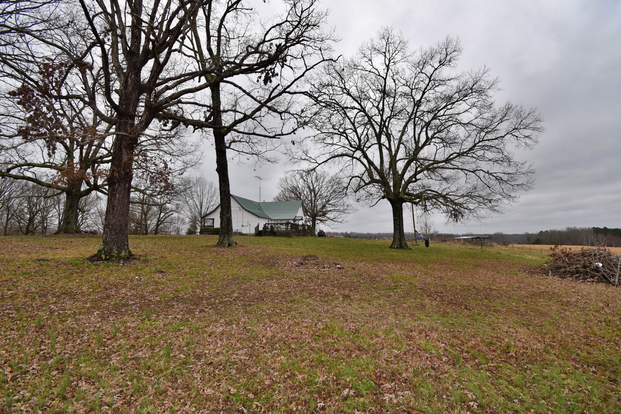 1705 McBride Cemetery Road Sardis, TN 38371 - Photo 18 of 44