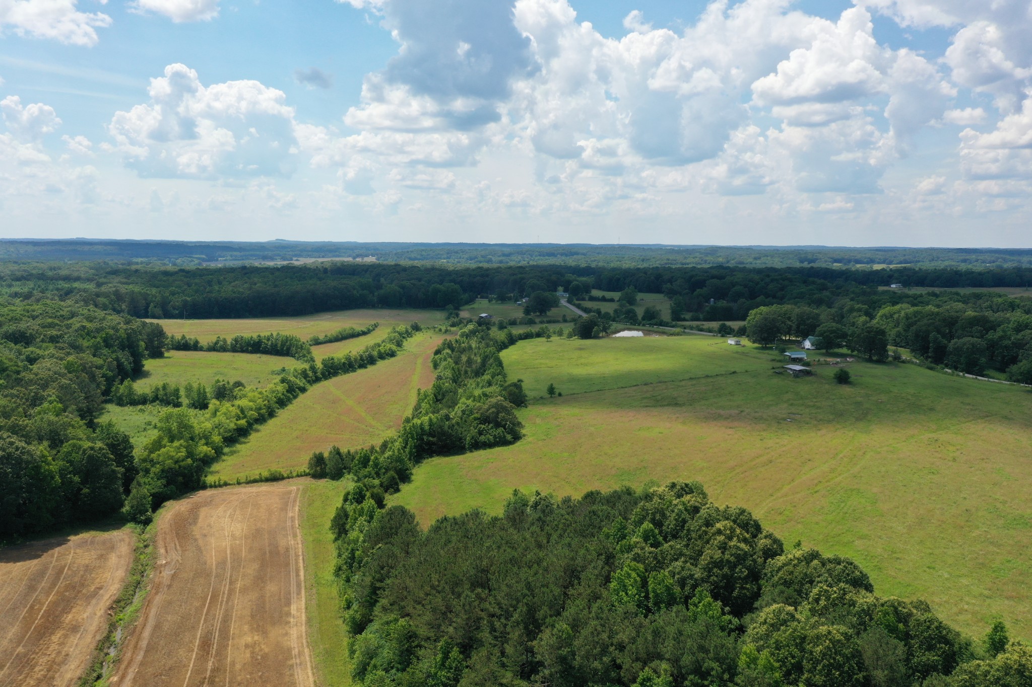 1705 McBride Cemetery Road Sardis, TN 38371 - Photo 2 of 44