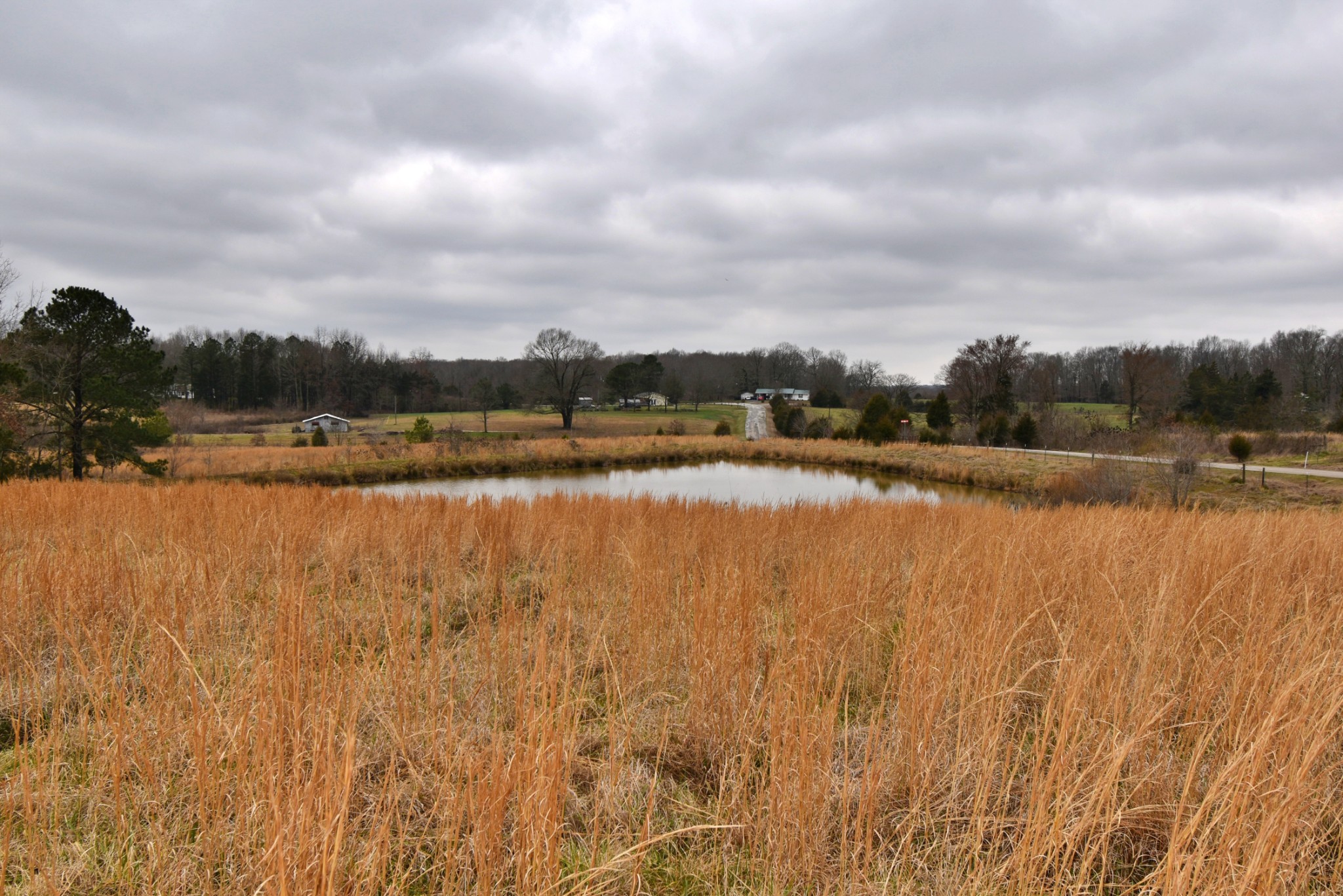 1705 McBride Cemetery Road Sardis, TN 38371 - Photo 21 of 44