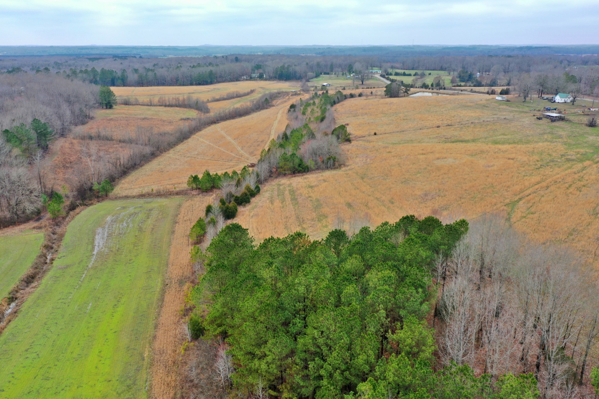 1705 McBride Cemetery Road Sardis, TN 38371 - Photo 22 of 44