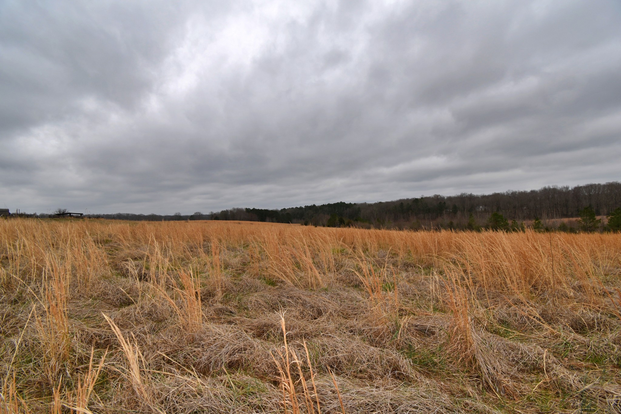 1705 McBride Cemetery Road Sardis, TN 38371 - Photo 23 of 44