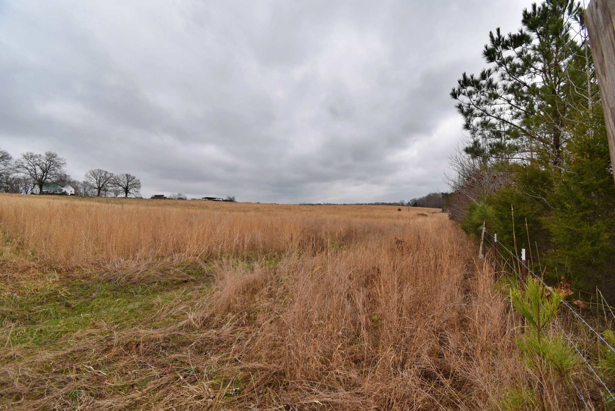 1705 McBride Cemetery Road Sardis, TN 38371 - Photo 27 of 44