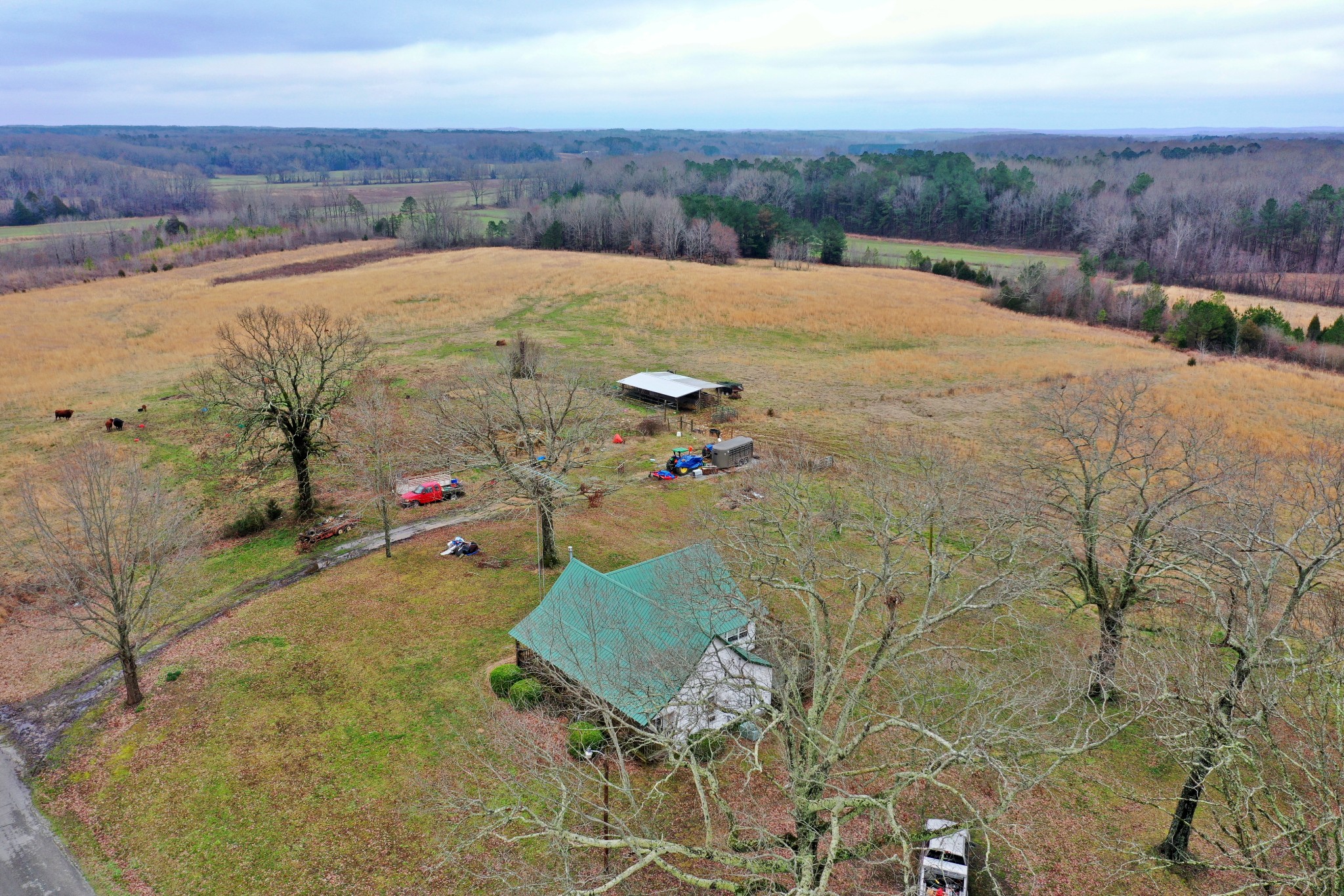 1705 McBride Cemetery Road Sardis, TN 38371 - Photo 31 of 44