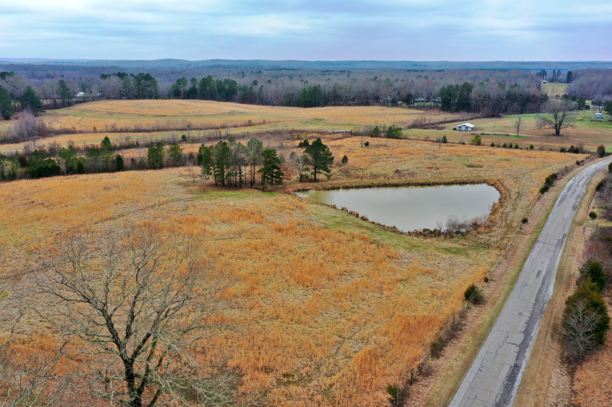 1705 McBride Cemetery Road Sardis, TN 38371 - Photo 32 of 44