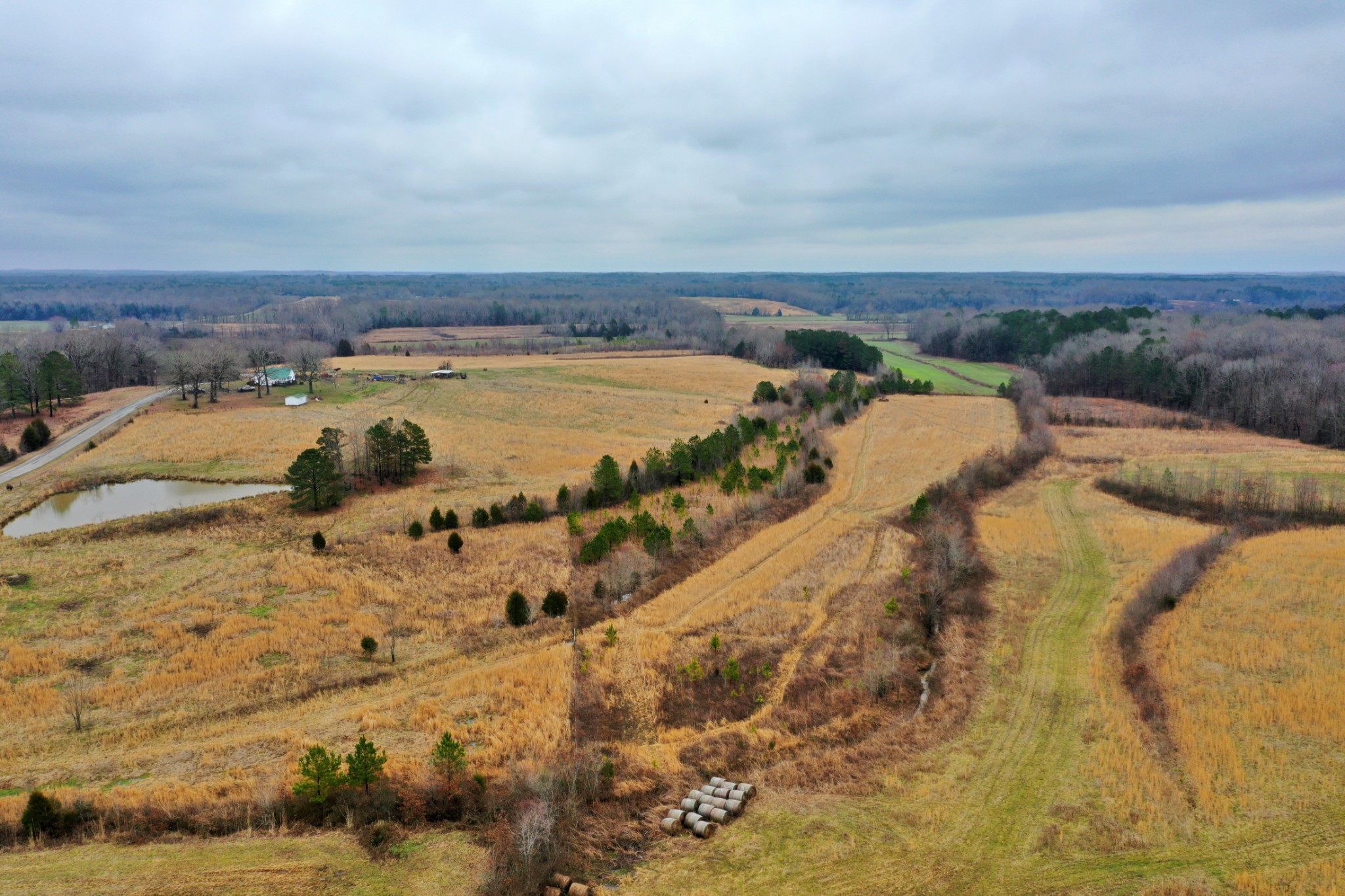 1705 McBride Cemetery Road Sardis, TN 38371 - Photo 33 of 44