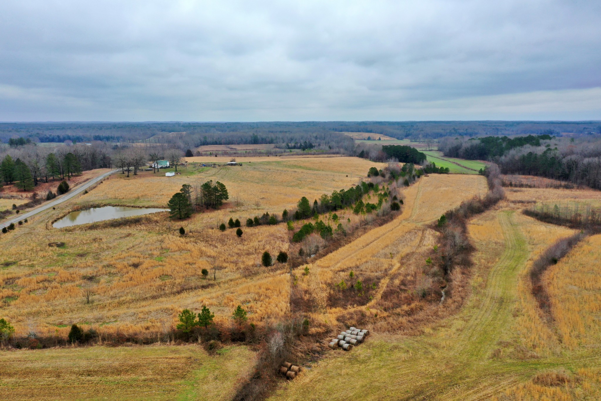 1705 McBride Cemetery Road Sardis, TN 38371 - Photo 34 of 44
