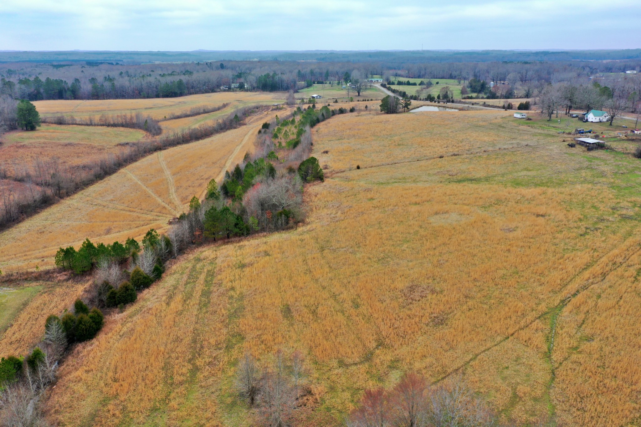1705 McBride Cemetery Road Sardis, TN 38371 - Photo 36 of 44