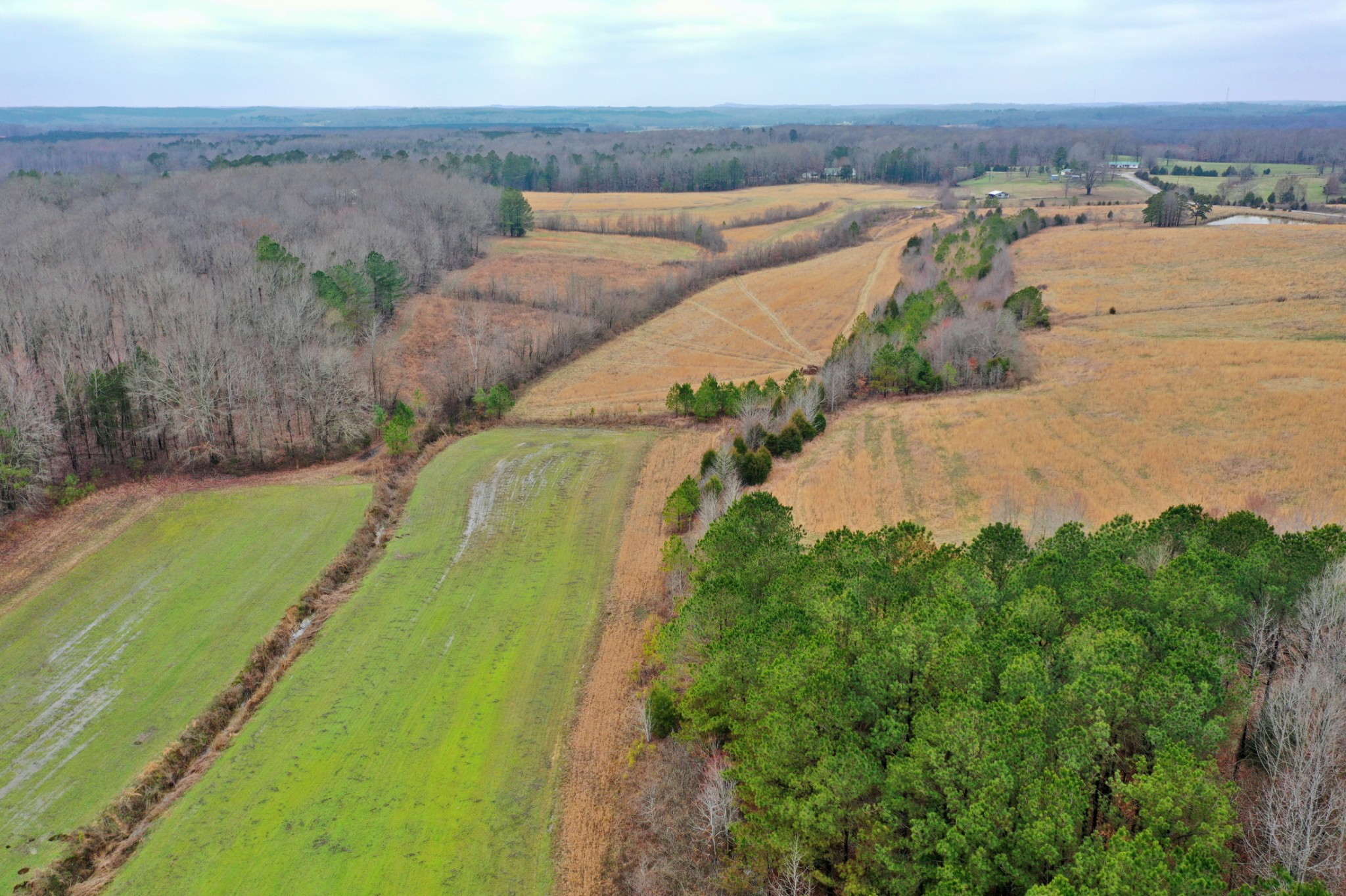 1705 McBride Cemetery Road Sardis, TN 38371 - Photo 37 of 44