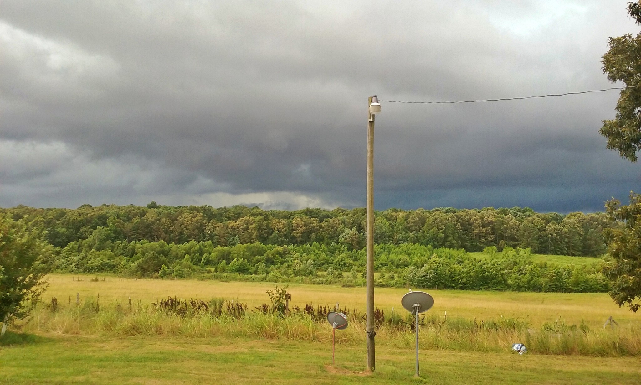 1705 McBride Cemetery Road Sardis, TN 38371 - Photo 38 of 44