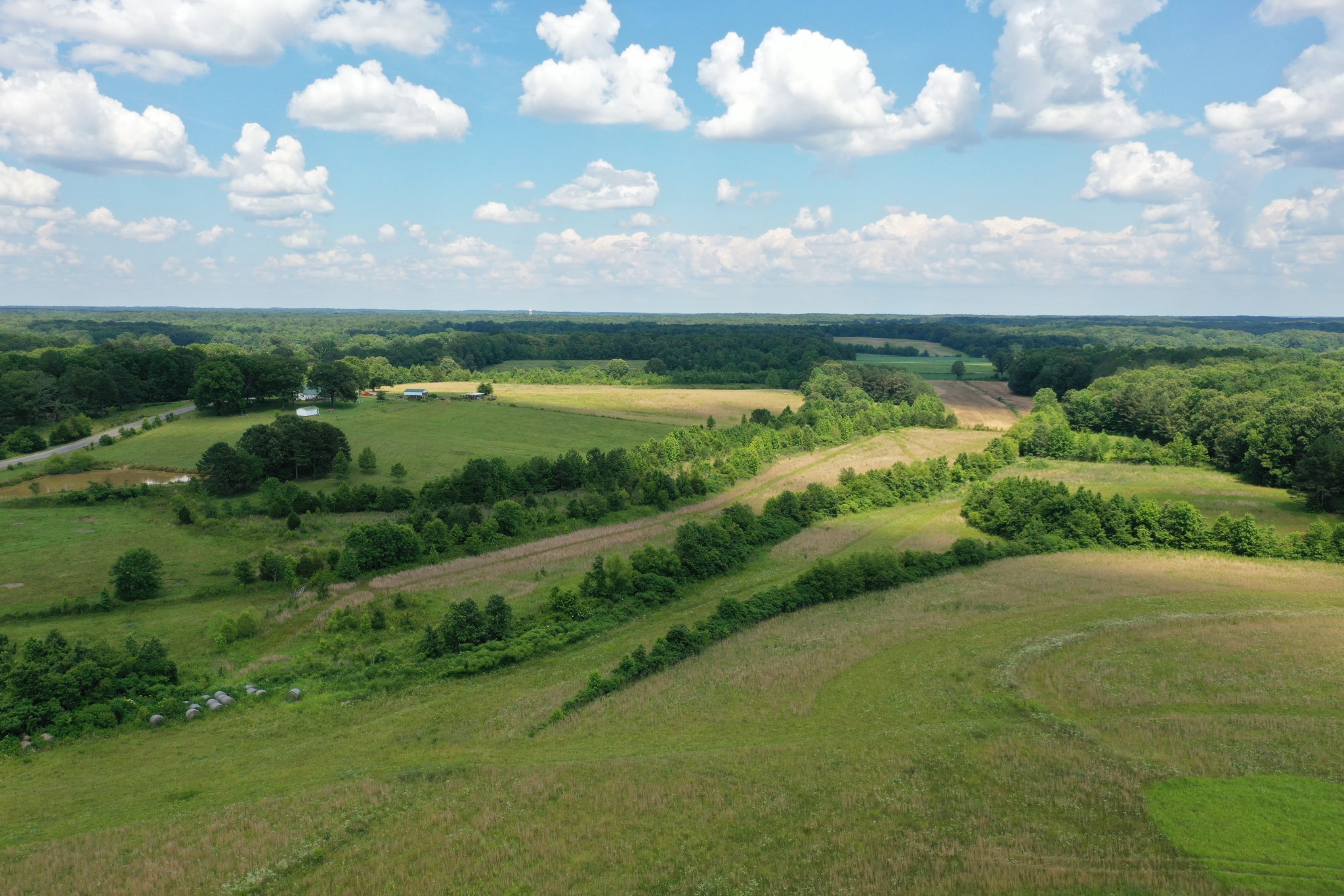 1705 McBride Cemetery Road Sardis, TN 38371 - Photo 4 of 44