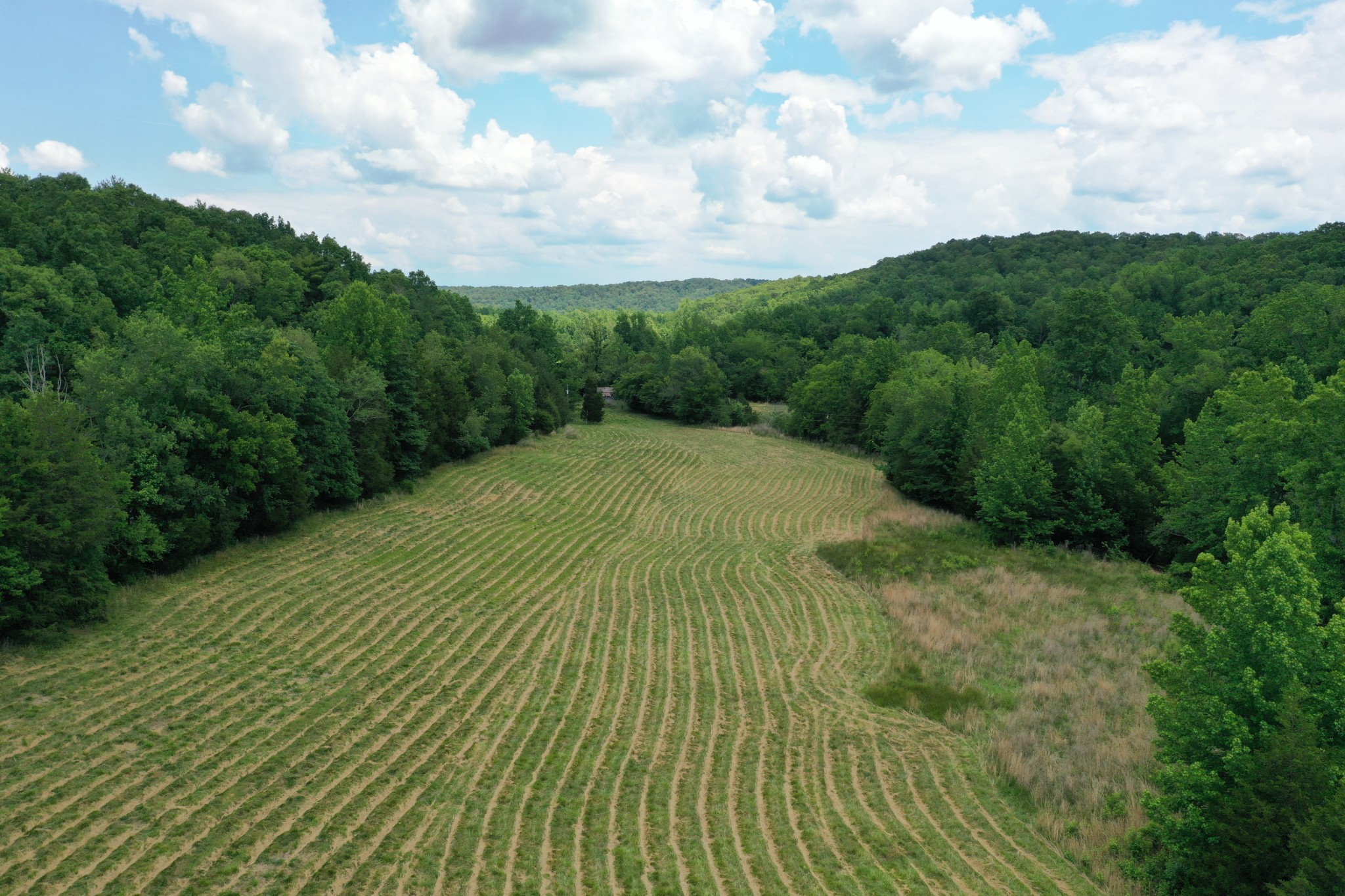1705 McBride Cemetery Road Sardis, TN 38371 - Photo 5 of 44
