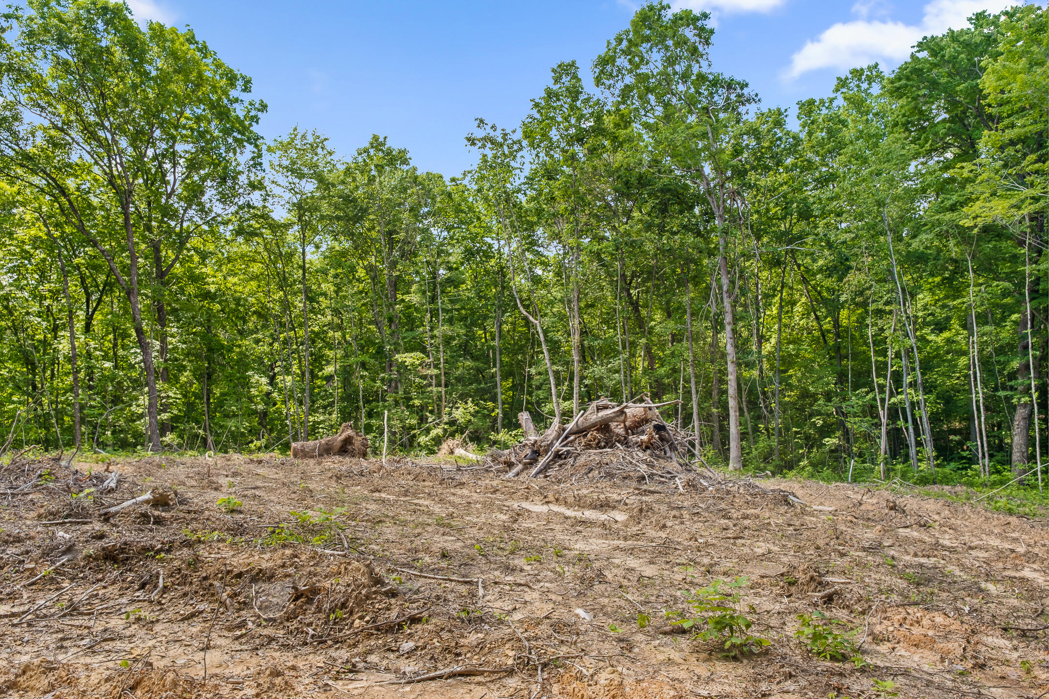 0 Hassler Road, Unit TRACT 5 Signal Mountain, TN 37377 - Photo 50 of 93 Building Spot Clearing