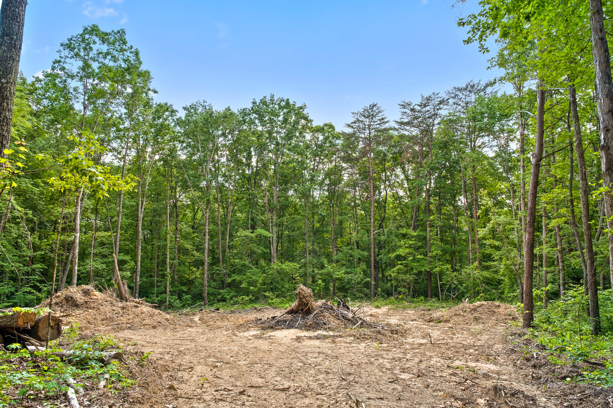 0 Hassler Road, Unit TRACT 5 Signal Mountain, TN 37377 - Photo 56 of 93 Future Cul-de-Sac