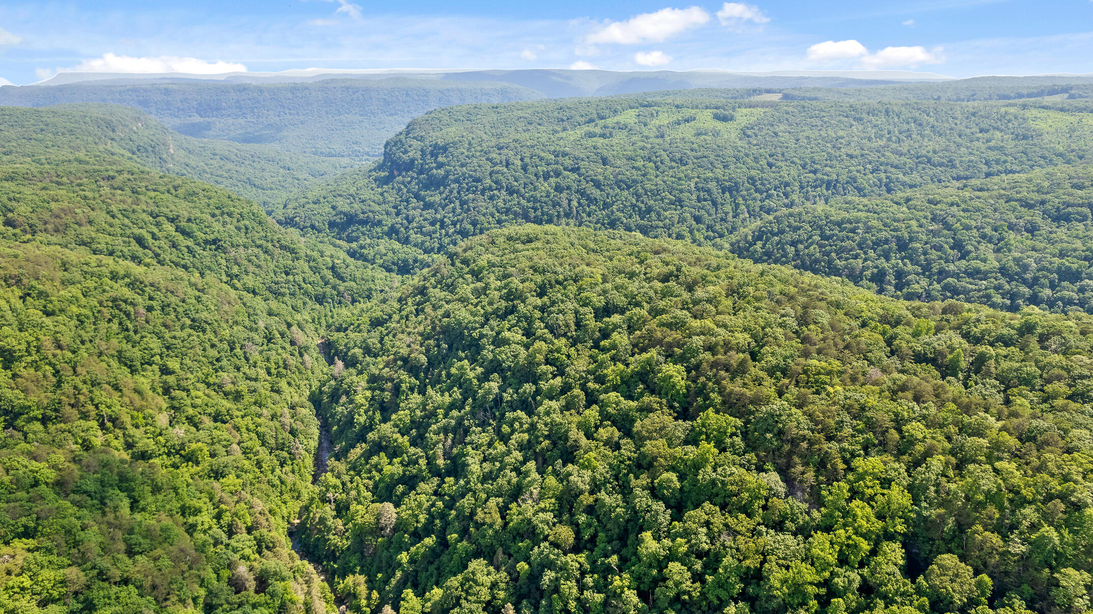 0 Hassler Road, Unit TRACT 5 Signal Mountain, TN 37377 - Photo 8 of 93 Gorgeous Views from Above