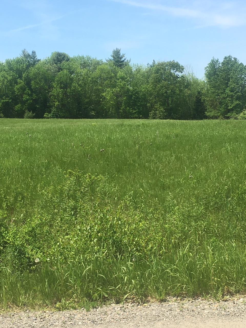 0 Ervin Road Corinna, ME 04928 - Photo 3 of 6 3