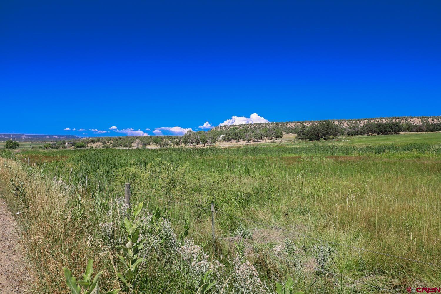 1019 County Road 330 Ignacio, CO 81137 - Photo 15 of 34