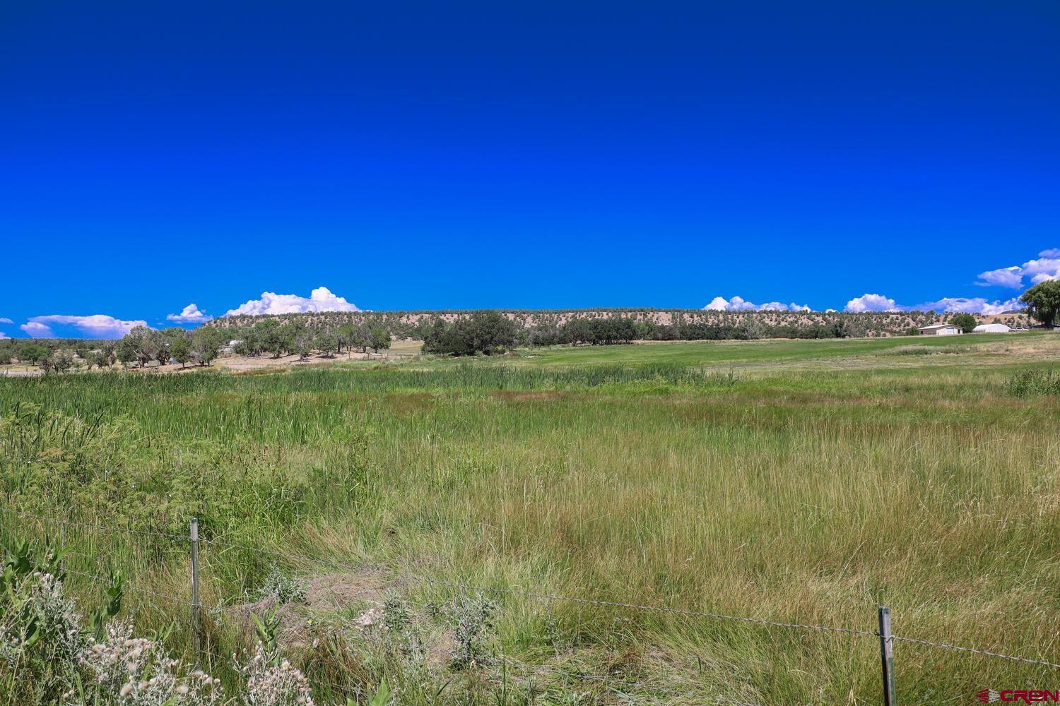 1019 County Road 330 Ignacio, CO 81137 - Photo 16 of 34