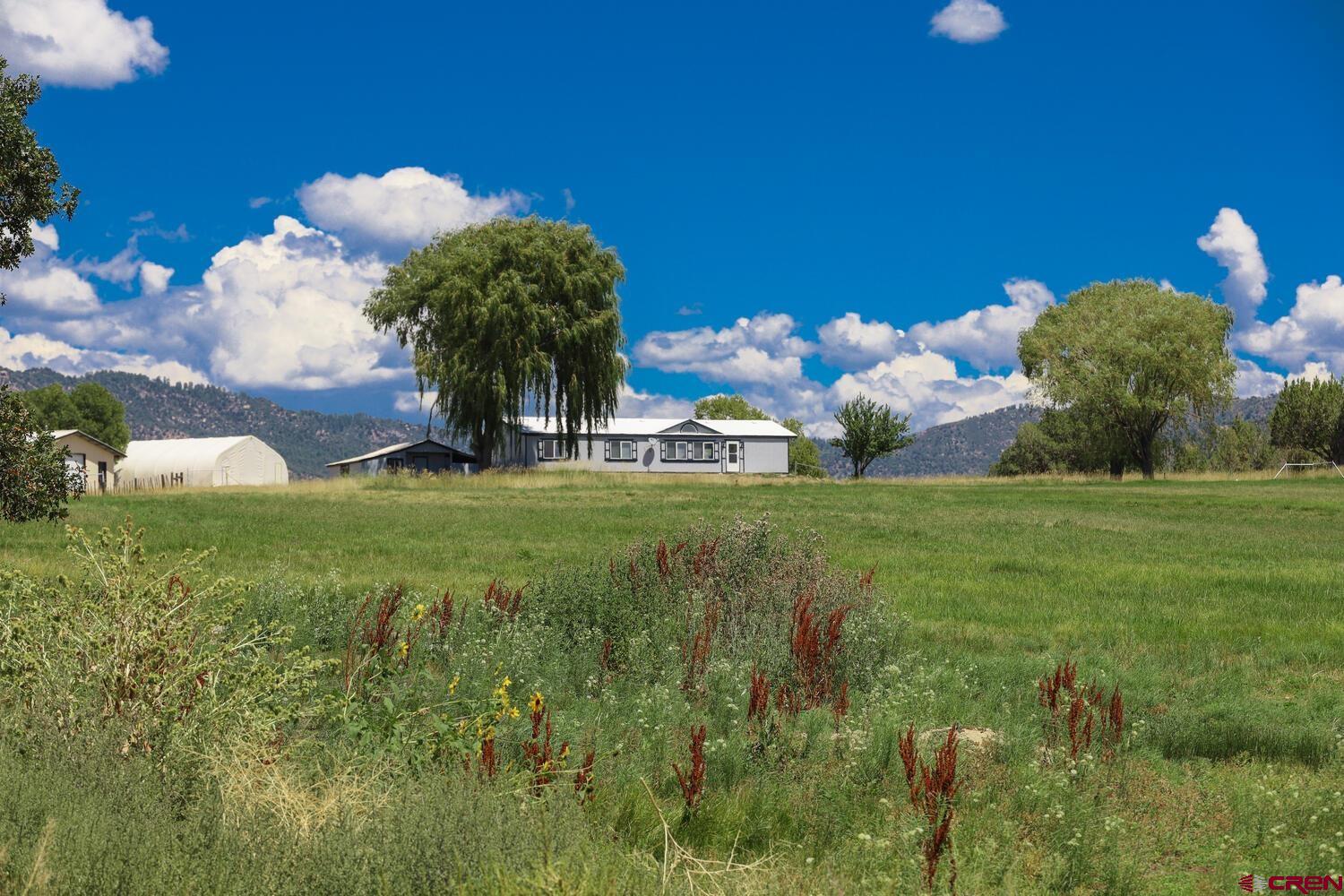 1019 County Road 330 Ignacio, CO 81137 - Photo 18 of 34