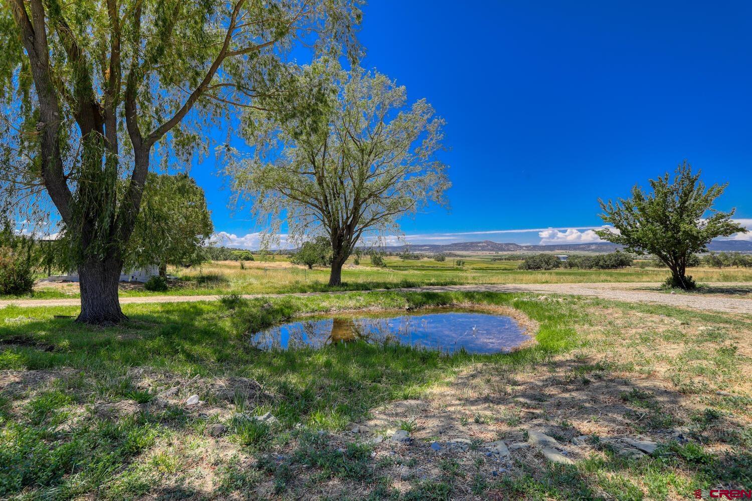 1019 County Road 330 Ignacio, CO 81137 - Photo 2 of 34