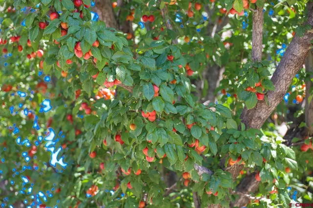 a view of a lake with a house in the background