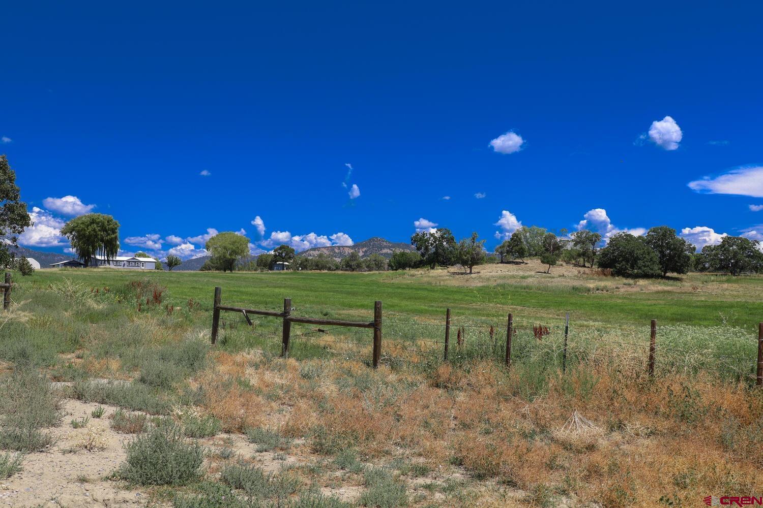 1019 County Road 330 Ignacio, CO 81137 - Photo 22 of 34