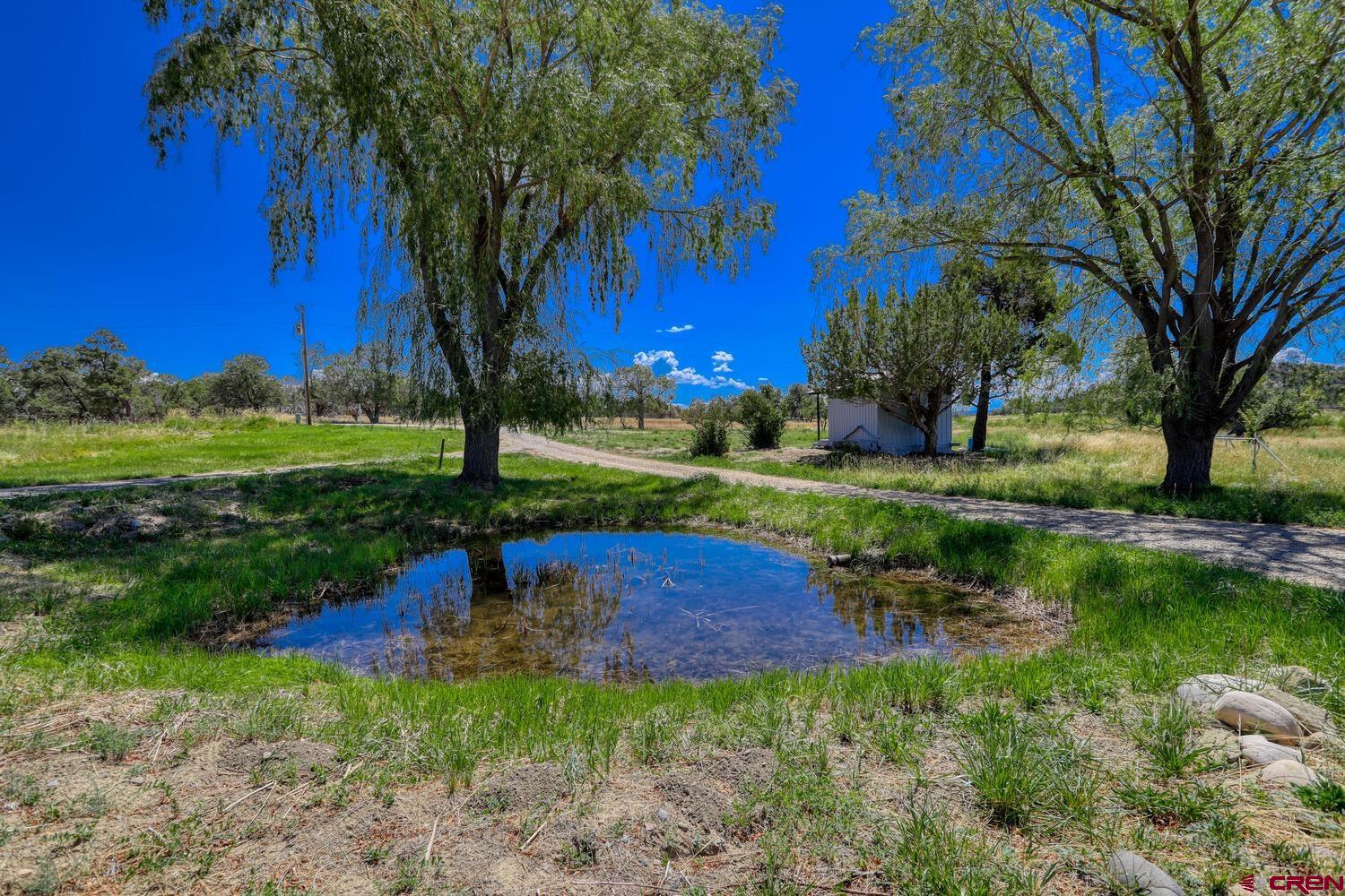 1019 County Road 330 Ignacio, CO 81137 - Photo 3 of 34