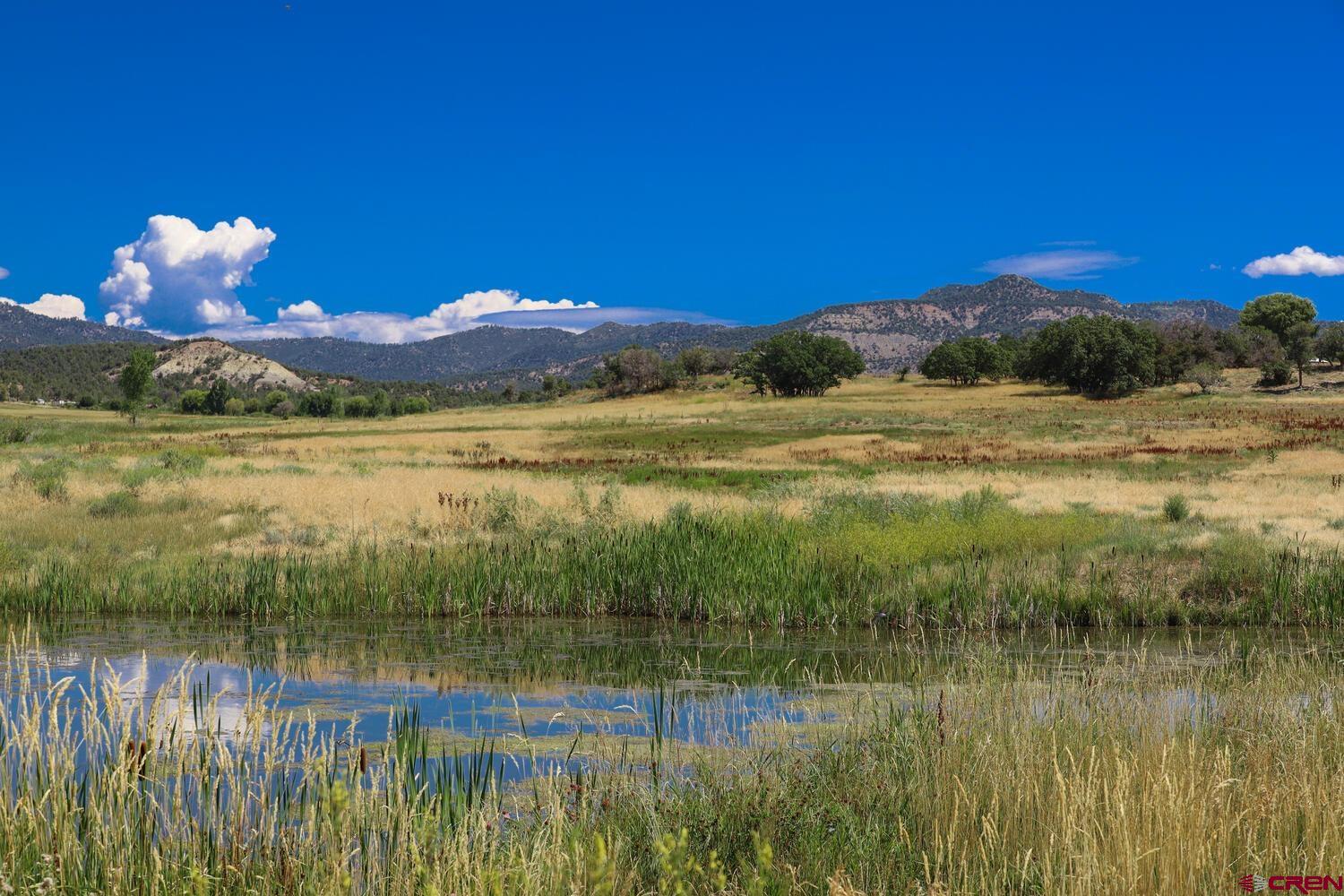 1019 County Road 330 Ignacio, CO 81137 - Photo 32 of 34