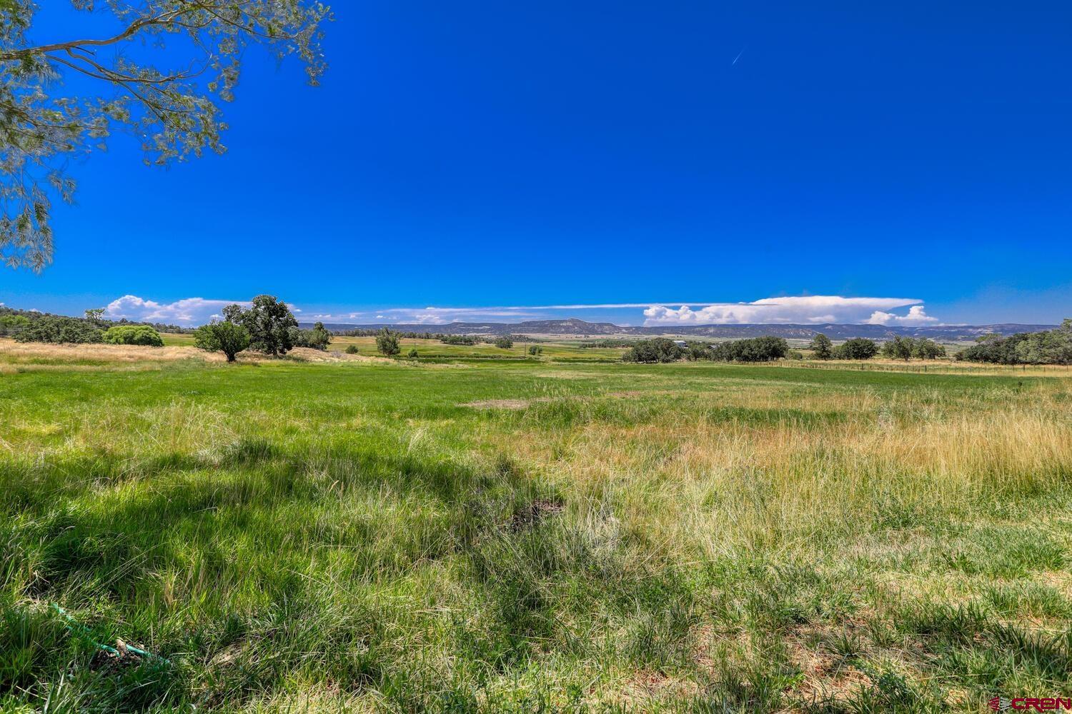 1019 County Road 330 Ignacio, CO 81137 - Photo 4 of 34