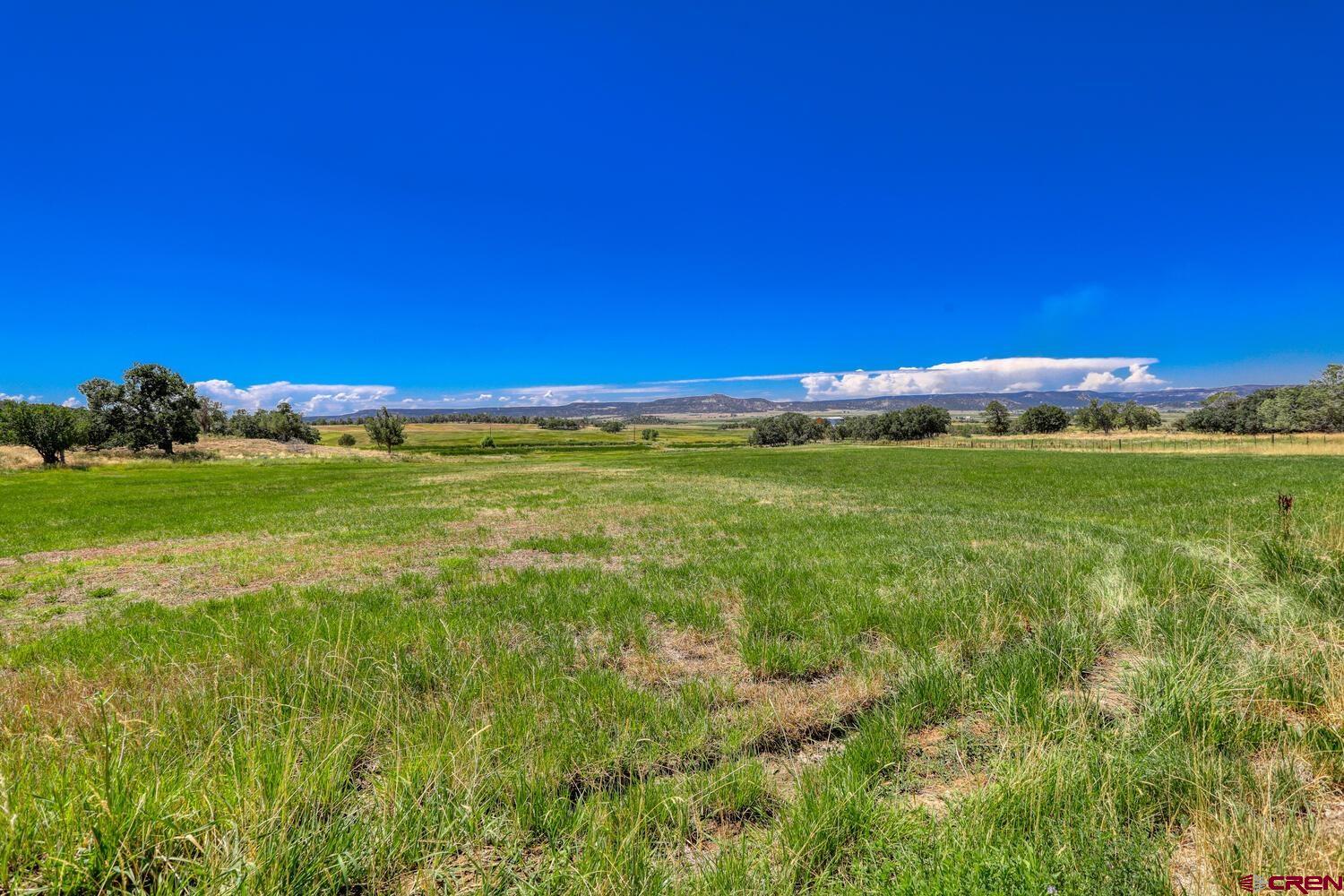 1019 County Road 330 Ignacio, CO 81137 - Photo 6 of 34