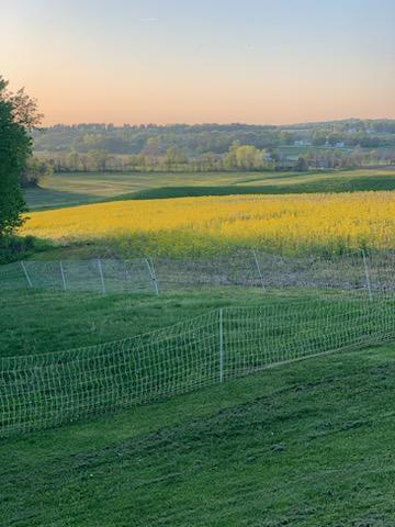 1725 West Point Road Southeast Lancaster, OH 43130 - Photo 68 of 82 1000009713