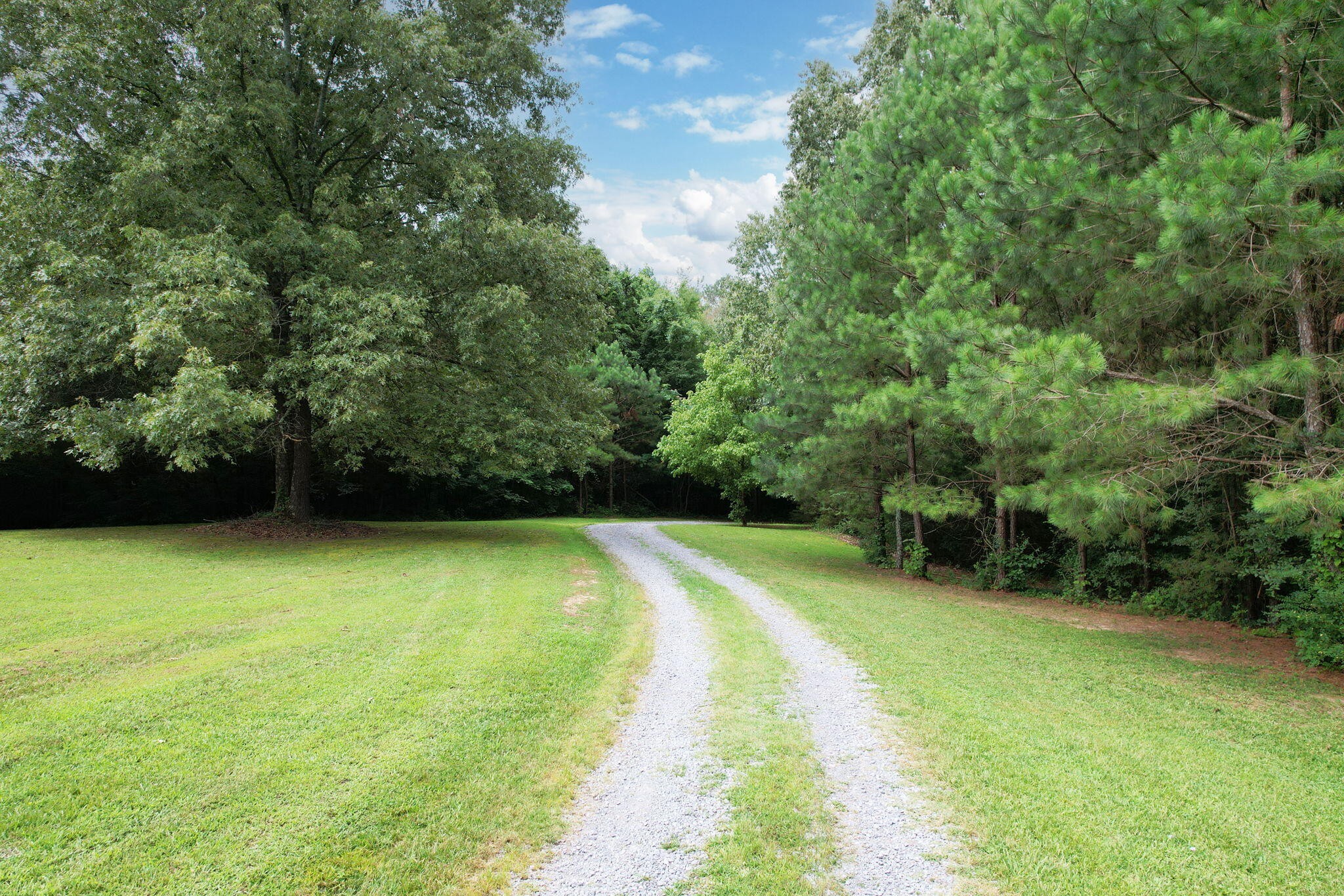 2131 Southeast Hunt Road Cleveland, TN 37323 - Photo 31 of 38 a view of a yard with a tree