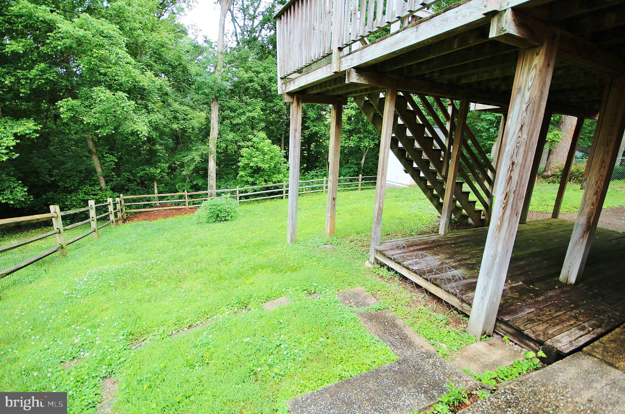 5504 Inverchapel Road Springfield, VA 22151 - Photo 43 of 51 Serene backyard with lush greenery.