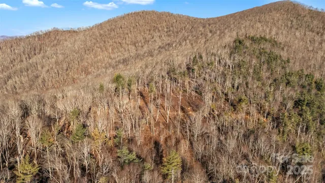 a view of a dry yard with mountains in the background