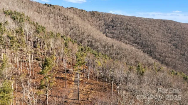 a view of a dry yard with mountains in the background