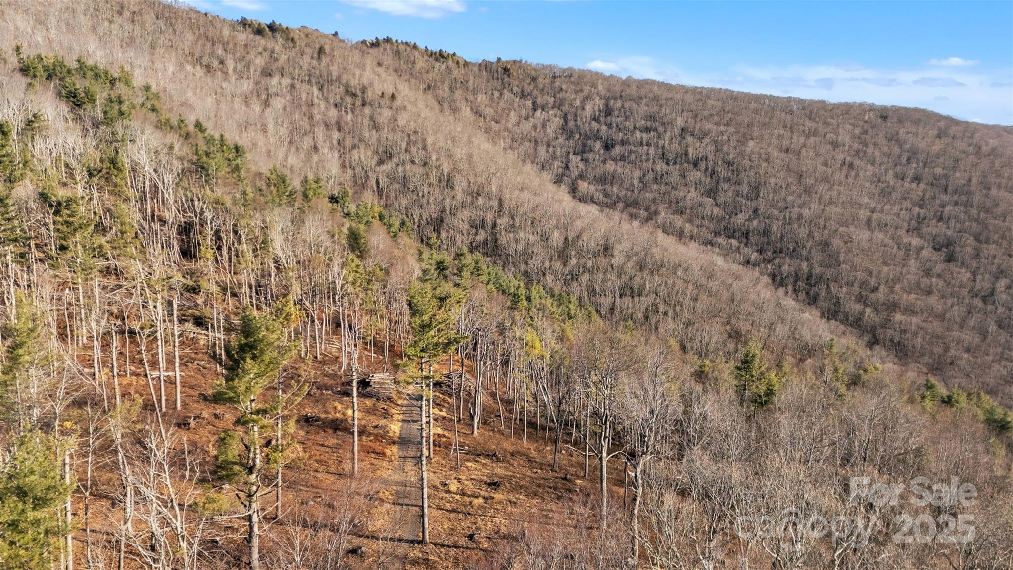 Tbd Johnson Hollow Road Jefferson, NC 28640 - Photo 13 of 44 a view of a dry yard with mountains in the background