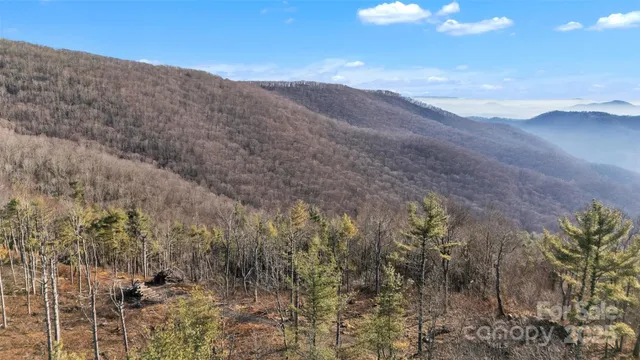 a view of a dry yard with mountains in the background