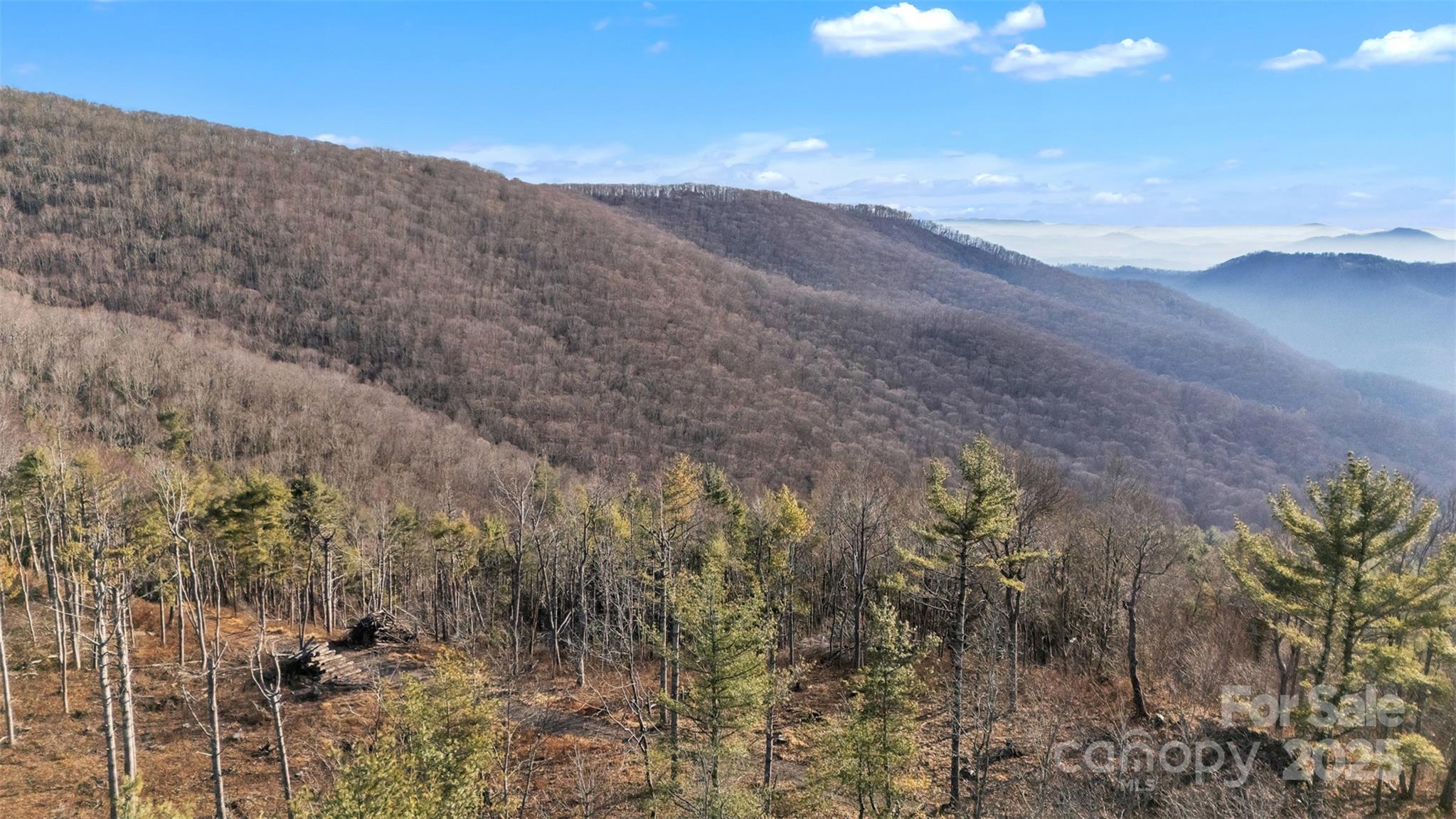 Tbd Johnson Hollow Road Jefferson, NC 28640 - Photo 14 of 44 a view of a dry yard with mountains in the background