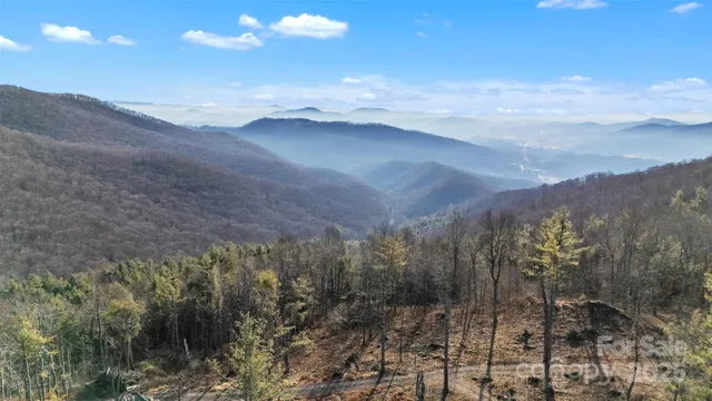 a view of a pathway in a yard