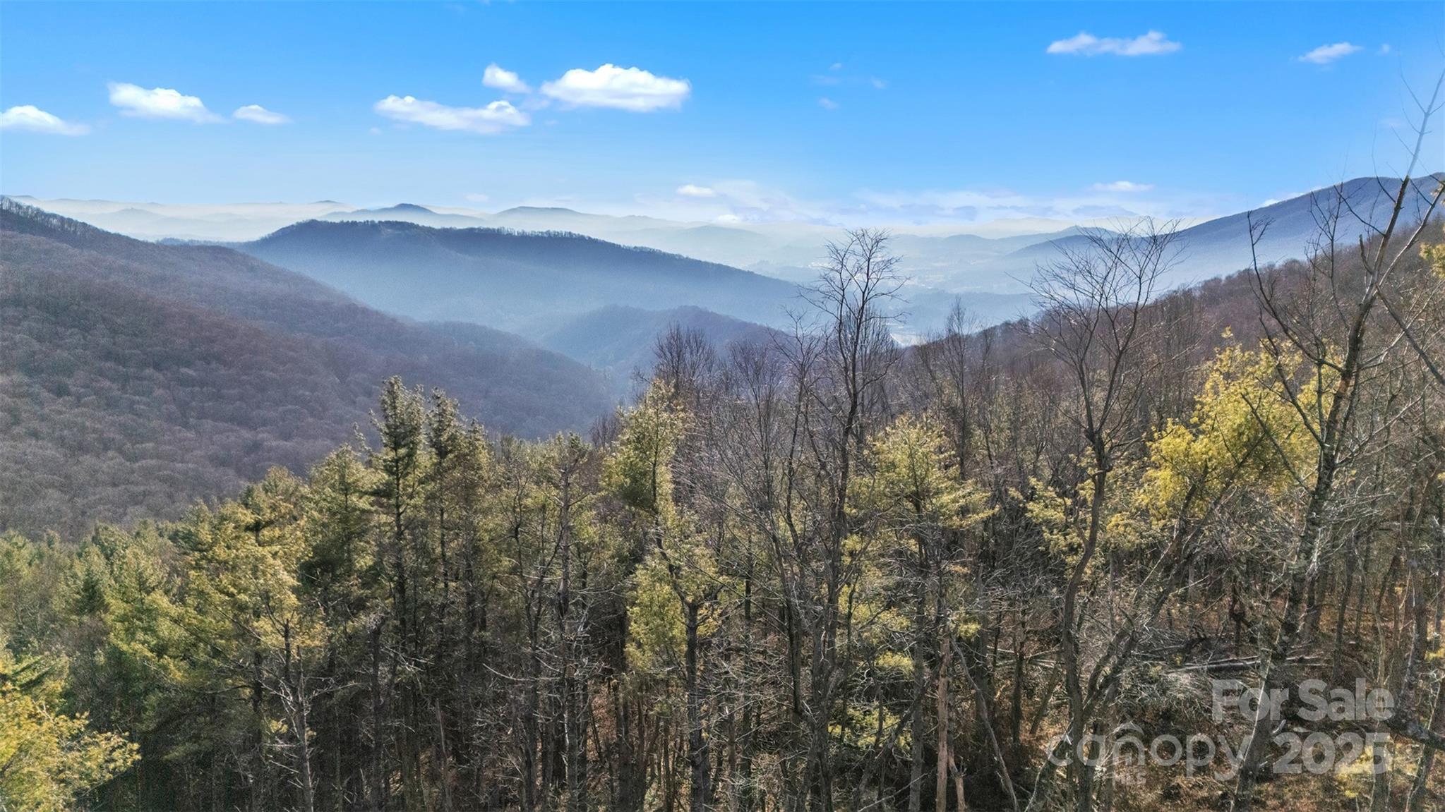 Tbd Johnson Hollow Road Jefferson, NC 28640 - Photo 16 of 44 a view of a pathway in a yard